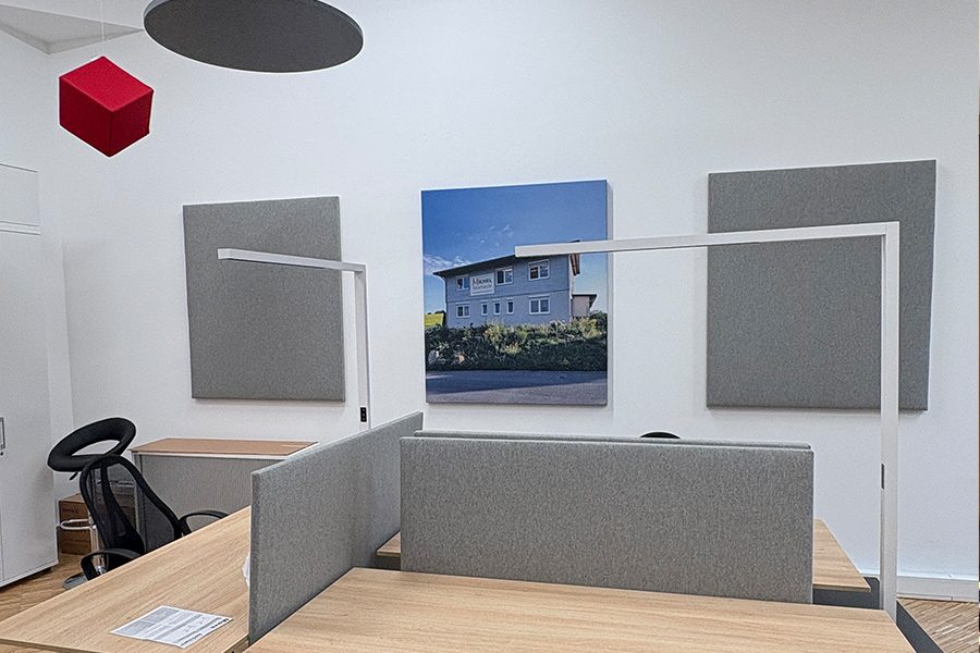 Raumakustikelemente = Schreibtischtrenner in einem Büro.